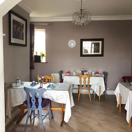 Cherry Tree קיל איירן